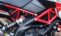 ApriliaDorsoDuro900_37