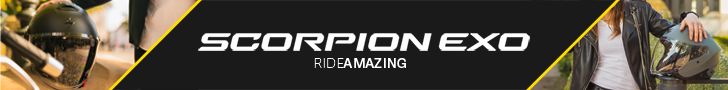 bannertopscorpion