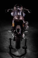 hedonic-amazing000-sd-1500px-6