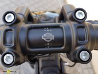 FatBob114_22