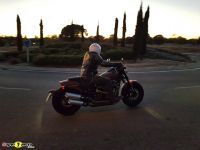 FatBob114_33