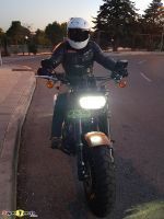 FatBob114_36