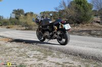 ThruxtonTrackRacer_11