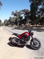 Benelli_Leoncino_500_12