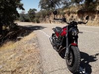 Benelli_Leoncino_500_14