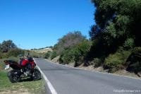 Benelli_TRK502_023