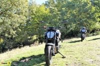 KTM790Duke_45
