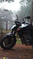 KTM790Duke_74