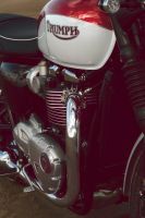 Ndp_Triumph_EICMA19_0112