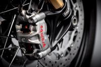 Ndp_Triumph_EICMA19_0140