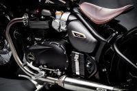 Ndp_Triumph_EICMA19_0144
