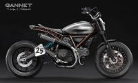 Coppertail-Tracker-Revival-Gannet-1s