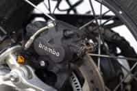 NDP_TRIUMPH_SCRAMBLER1200_FARO_32