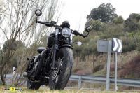 TriumphBobberBlack_73