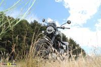 TriumphScrambler1200XC_36