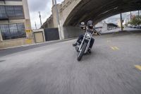 Softail-Standard3