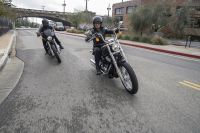 Softail-Standard5