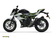 Kawasaki_Z125_3