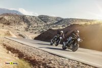 Kawasaki_Z900RS_2021_13