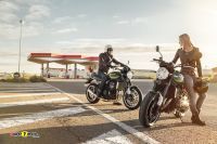 Kawasaki_Z900RS_2021_16