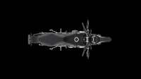 Ndp_Triumph_Trident_7983