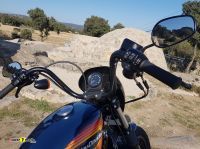 Harley-Davidson-1200-Iron-13