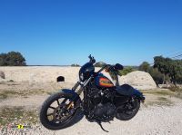 Harley-Davidson-1200-Iron-3
