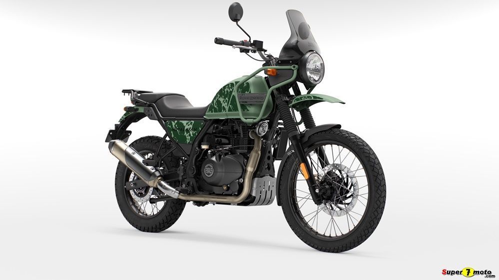 D3G Pine Green 003