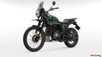 D3G_Pine_Green_005