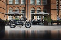 Ndp_Triumph_GoldLine_01