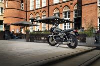 Ndp_Triumph_GoldLine_02