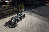 Ndp_Triumph_GoldLine_03