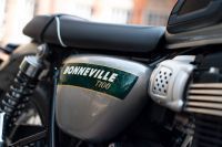Ndp_Triumph_GoldLine_06