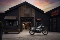Ndp_Triumph_GoldLine_18