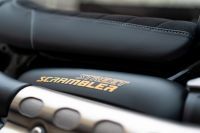 Ndp_Triumph_GoldLine_20