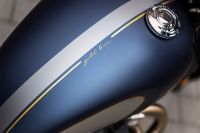 Ndp_Triumph_GoldLine_21
