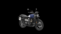 Ndp_Triumph_GoldLine_24