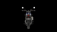 Ndp_Triumph_GoldLine_25