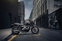Ndp_Triumph_GoldLine_31
