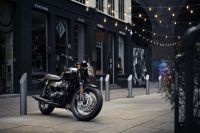 Ndp_Triumph_GoldLine_32
