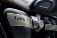 Ndp_Triumph_GoldLine_35