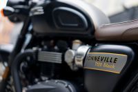 Ndp_Triumph_GoldLine_36