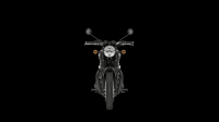 Ndp_Triumph_GoldLine_41