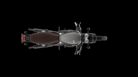 Ndp_Triumph_GoldLine_44