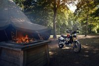 Ndp_Triumph_GoldLine_45