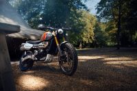 Ndp_Triumph_GoldLine_50