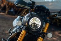 Ndp_Triumph_GoldLine_52
