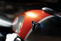 Ndp_Triumph_GoldLine_53