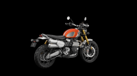 Ndp_Triumph_GoldLine_54