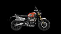 Ndp_Triumph_GoldLine_59
